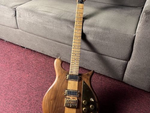 Rickenbacker 650 Sierra