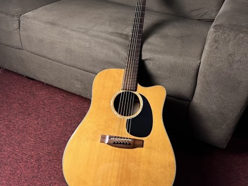 Takamine EG340C G-Series