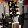 Gibson Les Paul Traditional 1960 Trans Red