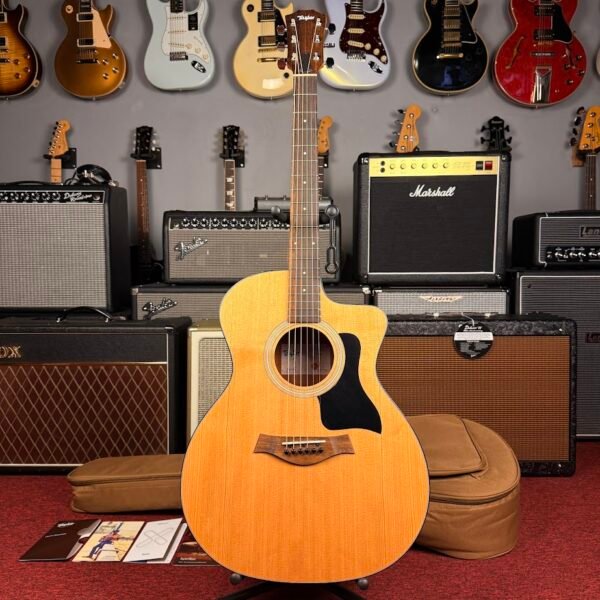 IMG_5416 Taylor 114ce Natural
