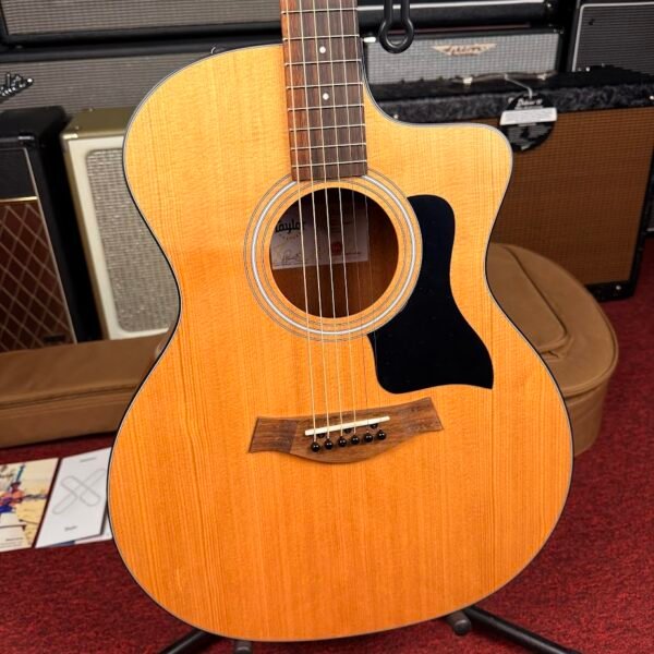 IMG_5417 Taylor 114ce Natural