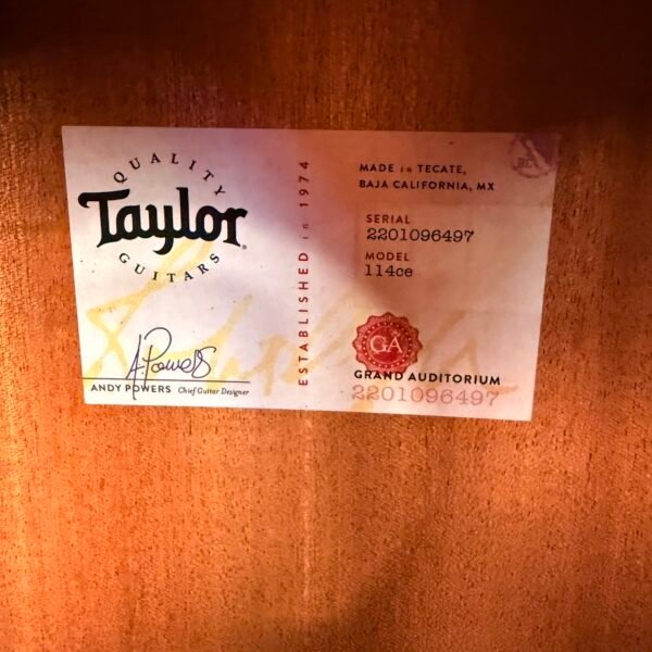 IMG_5418 Taylor 114ce Natural