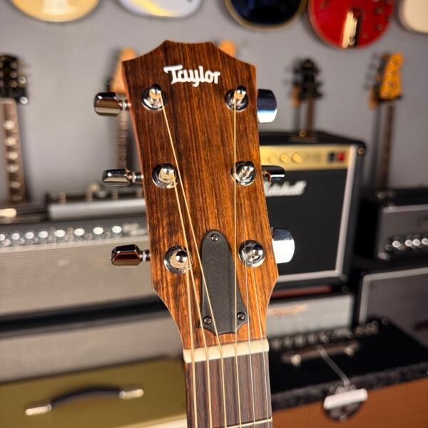 IMG_5420 Taylor 114ce Natural