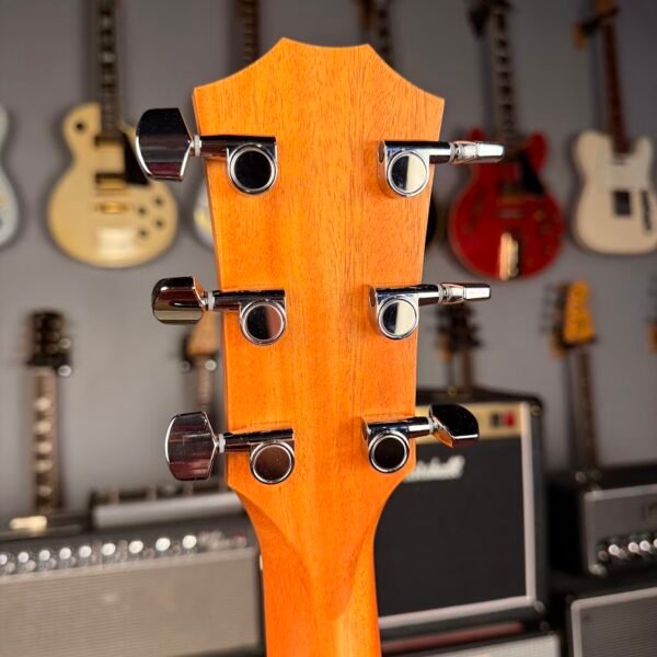IMG_5421 Taylor 114ce Natural