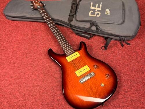 IMG_5658 PRS SE Soapbar II