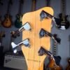 Warwick RockBass 5 Artist Line Robert Tujillo