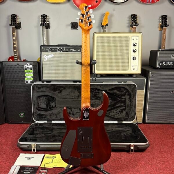 IMG_9578 Ernieball Music Man John Petrucci JP-15 Amber Waves Flame