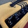IMG_9904 Supro Delta King 12 Tweed & Black