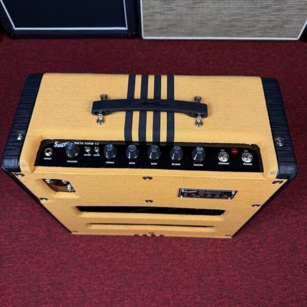 IMG_9905 Supro Delta King 12 Tweed & Black