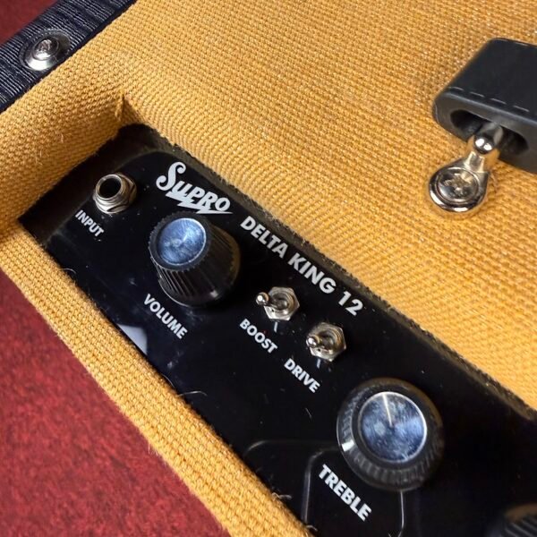 IMG_9906 Supro Delta King 12 Tweed & Black