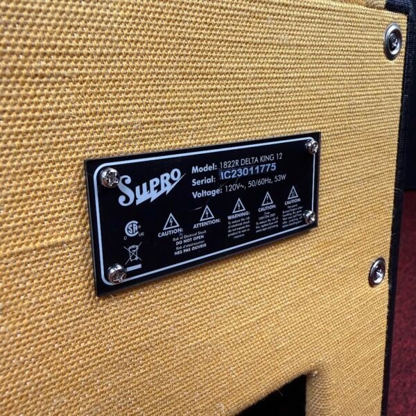 IMG_9907 Supro Delta King 12 Tweed & Black