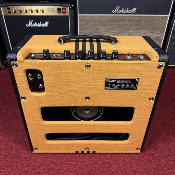 IMG_9910 Supro Delta King 12 Tweed & Black