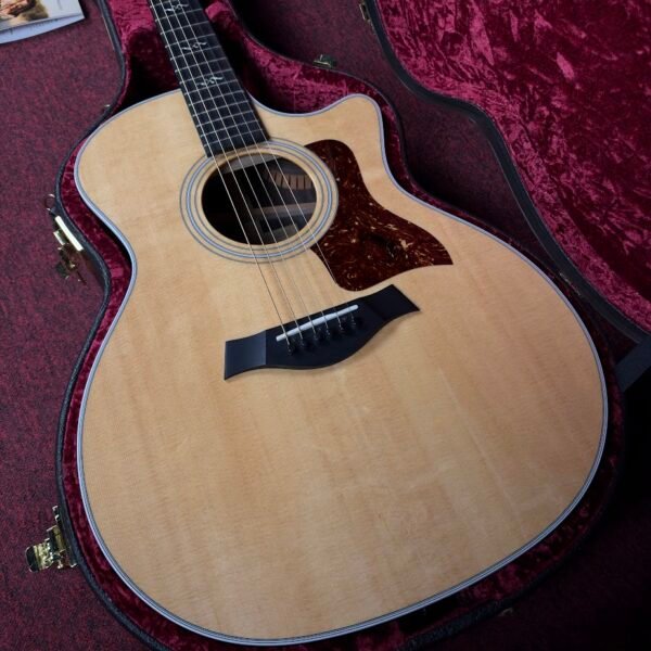 IMG_0365 Taylor 414ce-r Natural