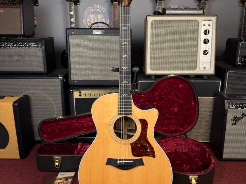 IMG_0372 Taylor 414ce-r Natural