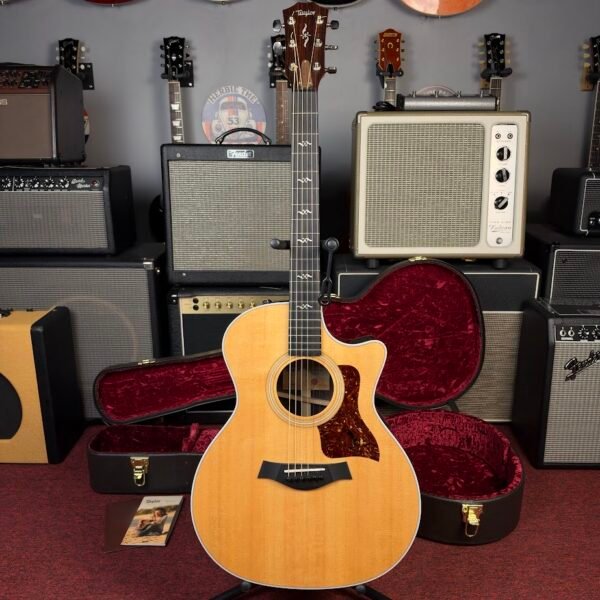 IMG_0372 Taylor 414ce-r Natural