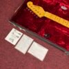 Don Grosh Custom Guitars - Hollow Carve Top T