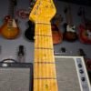 Don Grosh Custom Guitars - Hollow Carve Top T