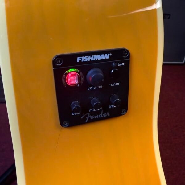 IMG_9333 Fender Ron Emory Loyalty Ash Butterscotch
